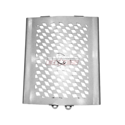 BEAR 650 RAD GUARD (SLIVER)